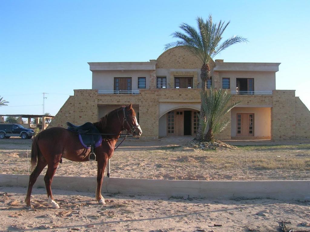 Bella Djerba Hotel Houmt Souk  Bagian luar foto